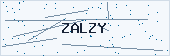 Captcha verification code