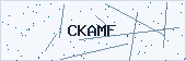 Captcha verification code