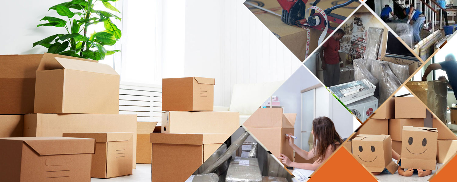 Packers and Movers from Bangalore to Delhi
